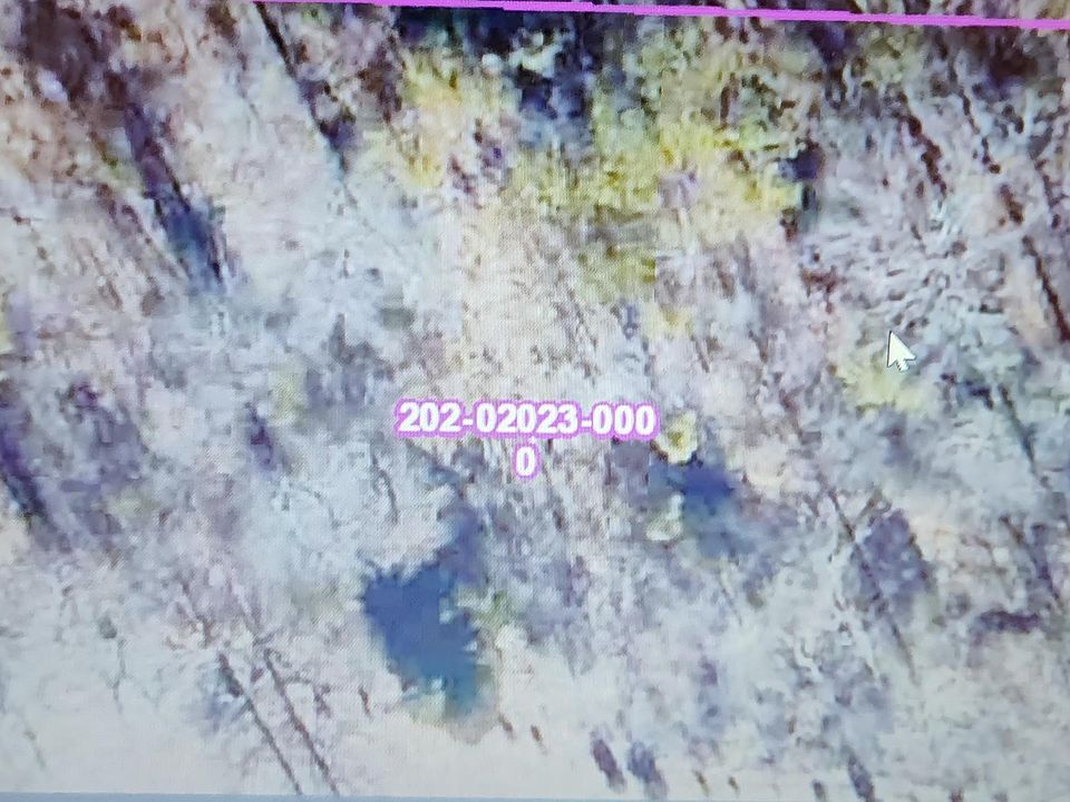2nd image of 3147 McPherson Ridge Dr
