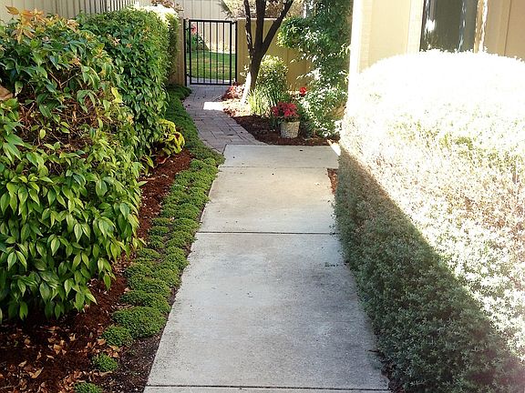 Entry leads to fenced back