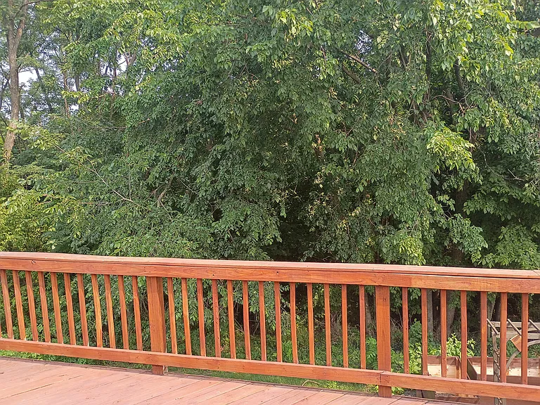 906 Colonial Dr — Photo 23