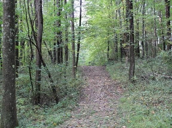 4th image of 16526 State Route 374