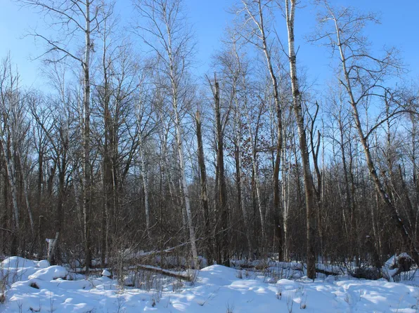 9 200th St, Milaca, MN 56353