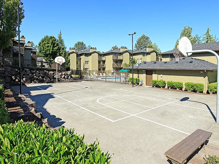 Community Outdoor Basketball Court