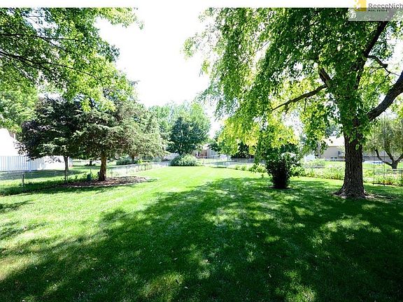 Spacious Backyard