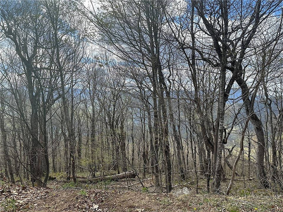 1st image of Lot 41 Silver Fox Drive
