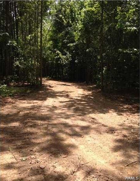 2nd image of 2 Shore Lake Dr