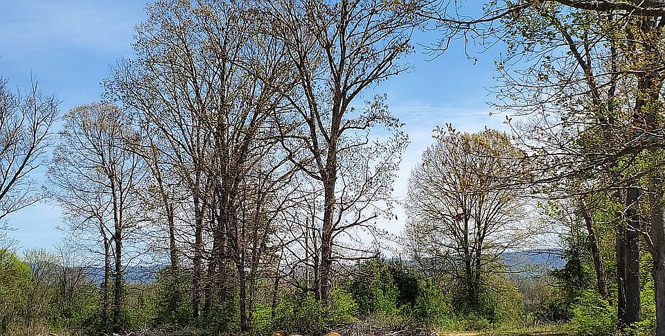 1st image of 2406 Tuckaleechee Pike Lot 7