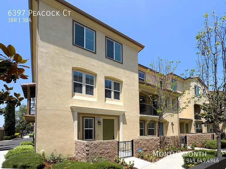 6397 Peacock Ct — Photo 26