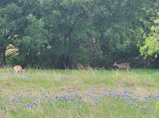 15064 Golf Dr, Whitney, TX 76692