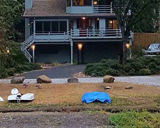 View of house across lake