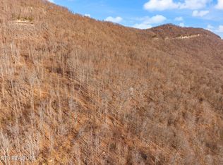 Greene Lane Of #E, La Follette, TN 37766