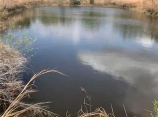 7107 N Dormany Rd, Plant City, FL 33565