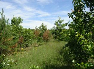 17 Drive, Wild Rose, WI 54984