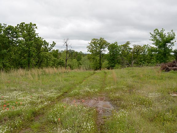 5th image of 12324 S Highway 48