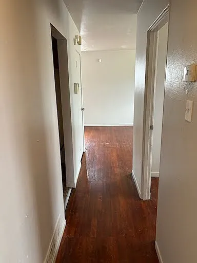 213 Ben Nevis Rd — Photo 3