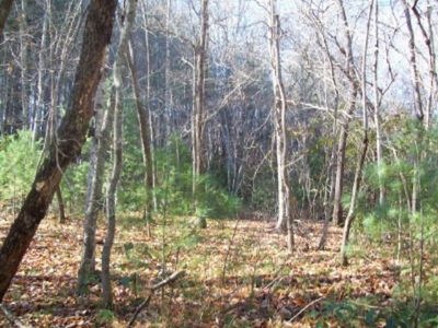 0 Fall Branch Rd, Murphy, NC, 28906