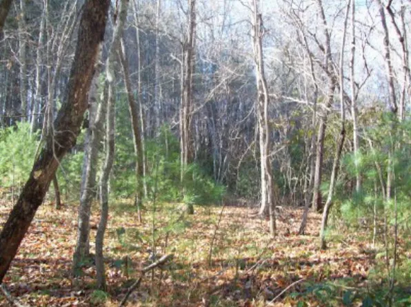 0 Fall Branch Rd, Murphy, NC 28906