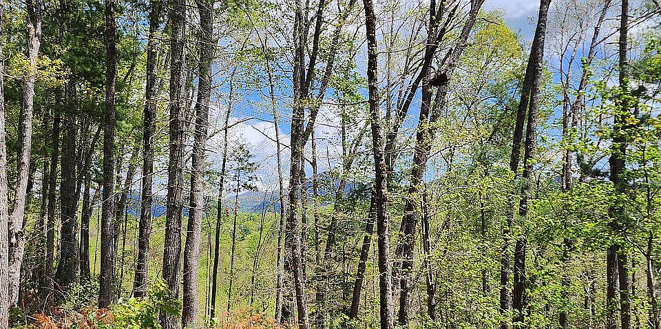 Long Range Mountain Views