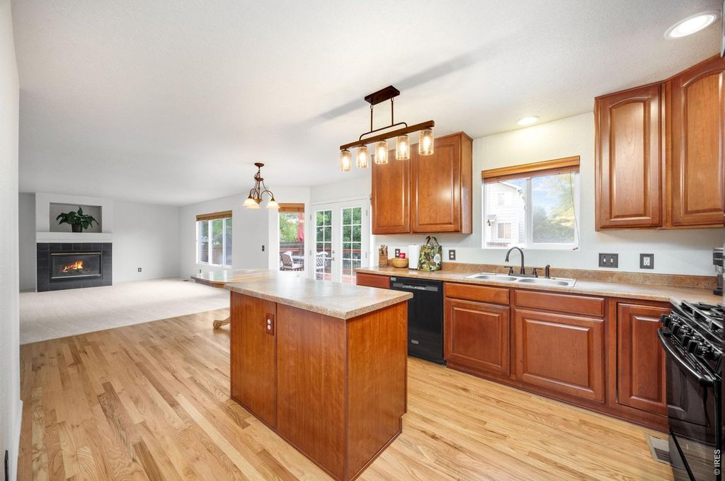 3505 Cheetah Dr