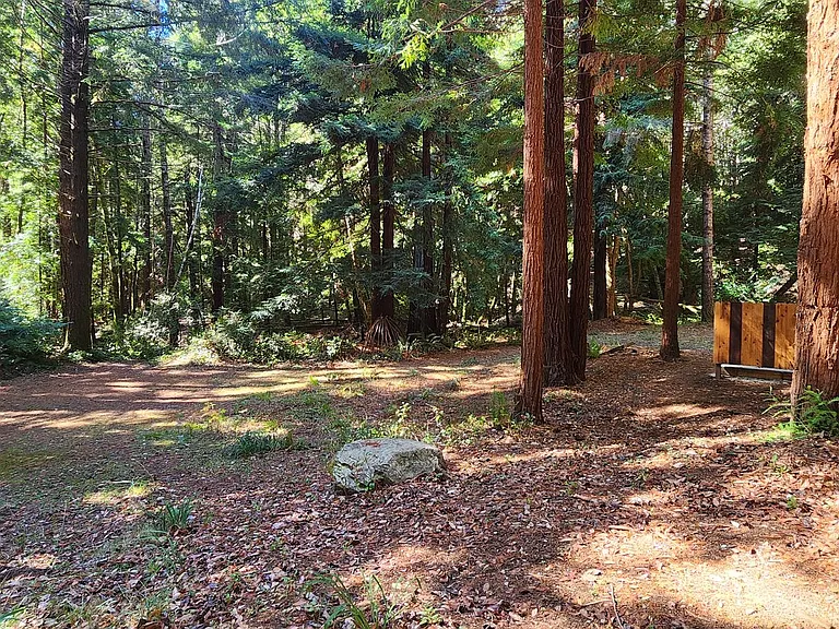 19901 Briceland Rd — Photo 28