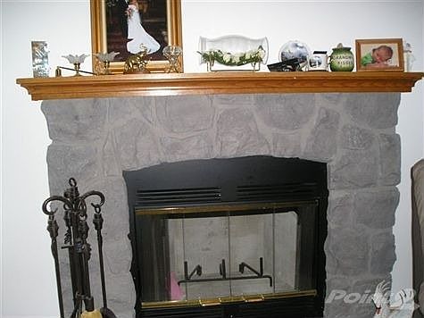 wood burning fireplace
