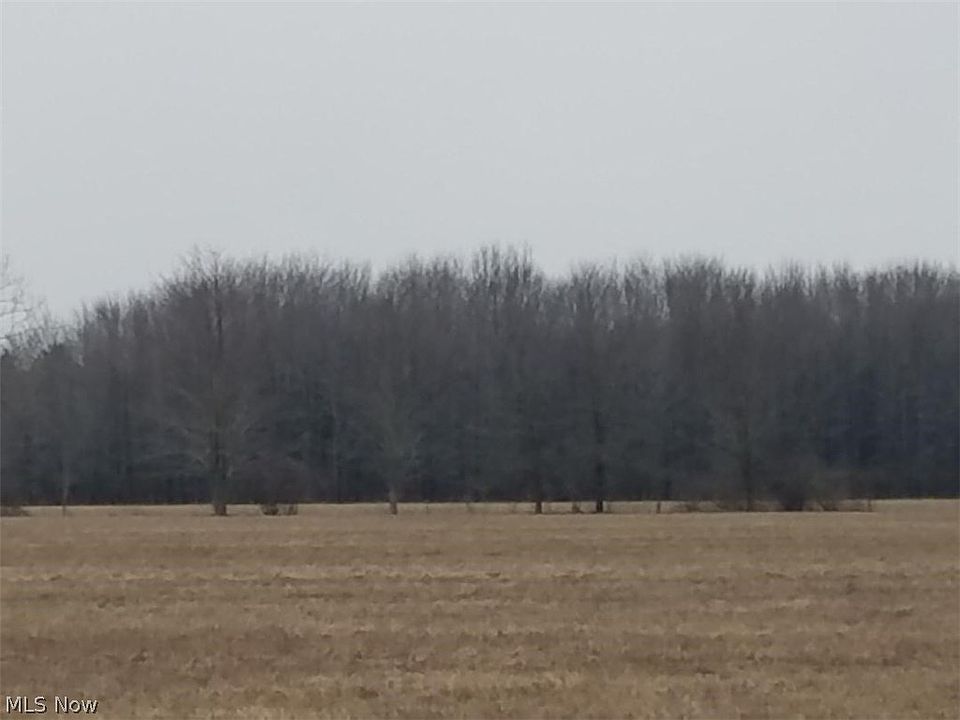2nd image of Webster Rd