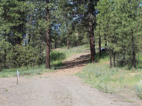 Pine Forest Sontag Ridge Dr #1, Davenport, WA 99122