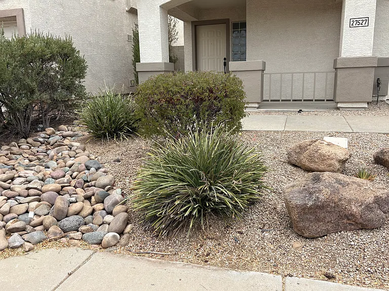 Front Porch
Low maintenance landscape