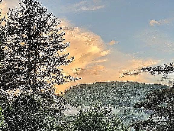 View from living room