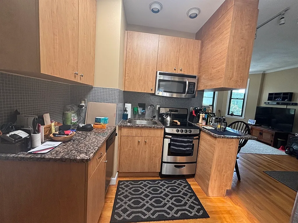 1 bed, 1.0 bath, 431 sqft, $2,450 — Photo 4