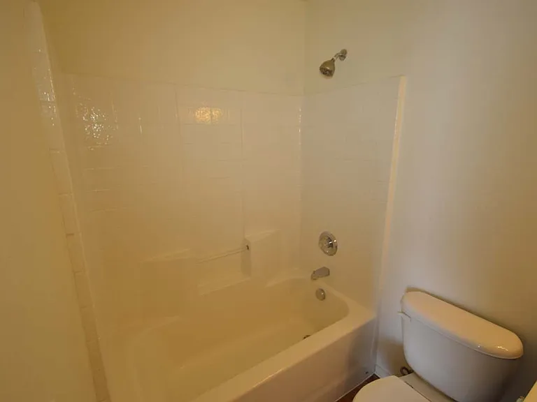 6674 Tulip Falls Dr — Photo 8