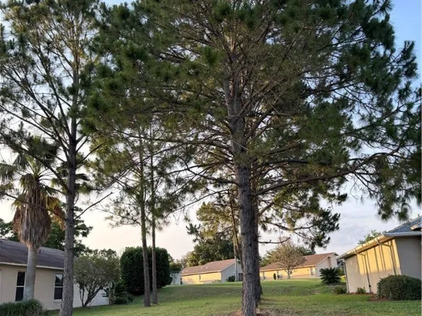 1809 W Nicole Dr S, Lecanto, FL 34461