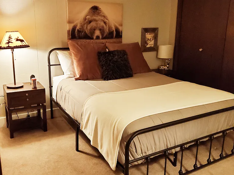 423 Wild Irishman Rd #1007 — Photo 15