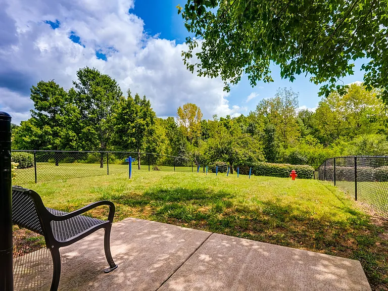Wyndchase Aspen Grove — Photo 28
