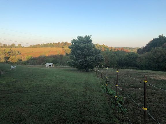 2nd image of 240 Arbor Ln