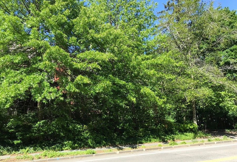 2nd image of 1 Franklin Pl