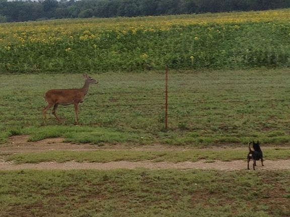 4th image of 1284 County Road 4290