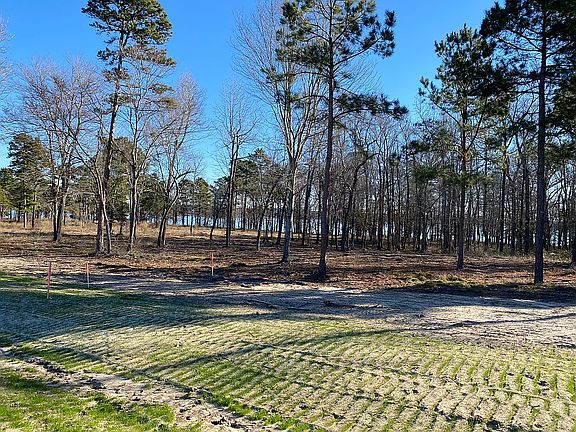2nd image of Shadow Pine Dr #79