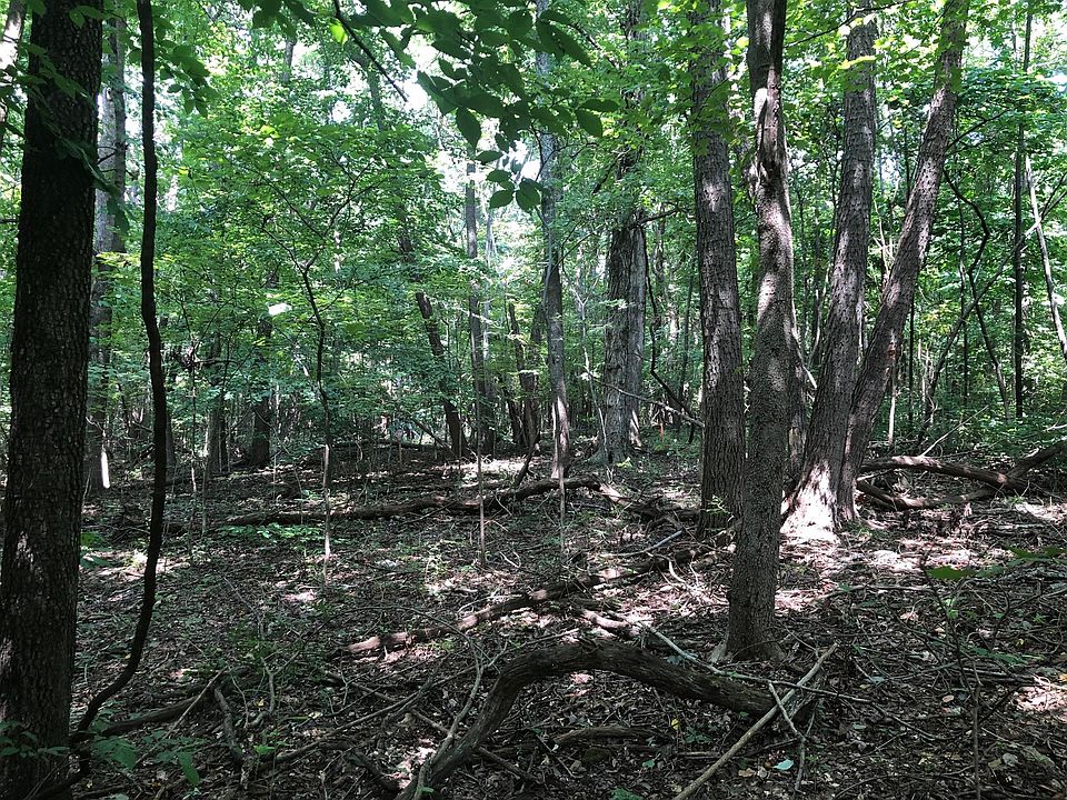 2nd image of 662 Weeping Willow Rd
