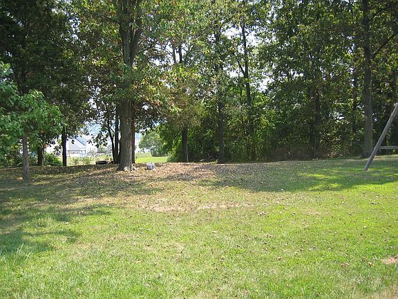 Huge back yard