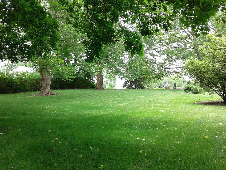 Back yard, 0.6 acre