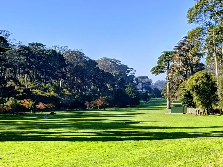 Golden Gate Park - Hellman's Meadow