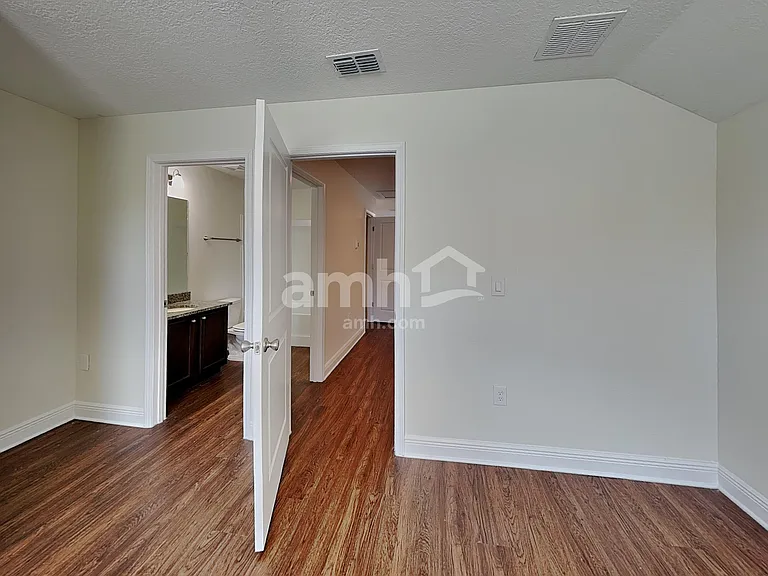 1367 Celery Palm Cv — Photo 29