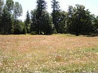 2nd image of 40409 NE Miller Rd