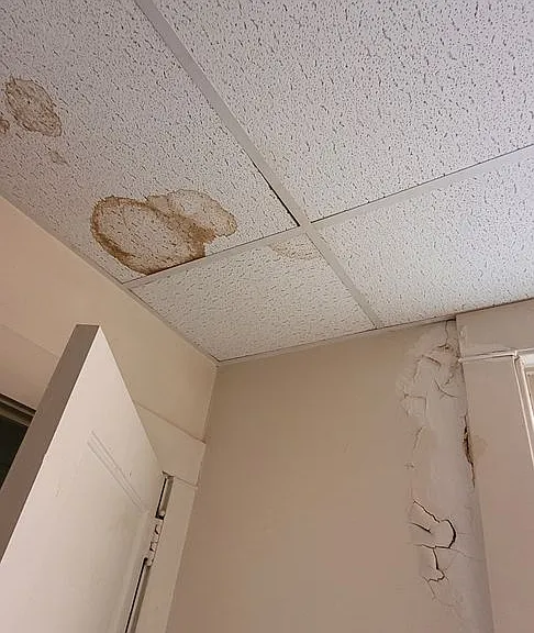 222 Grant Ave — Photo 2