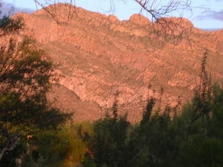 View east from back patio 