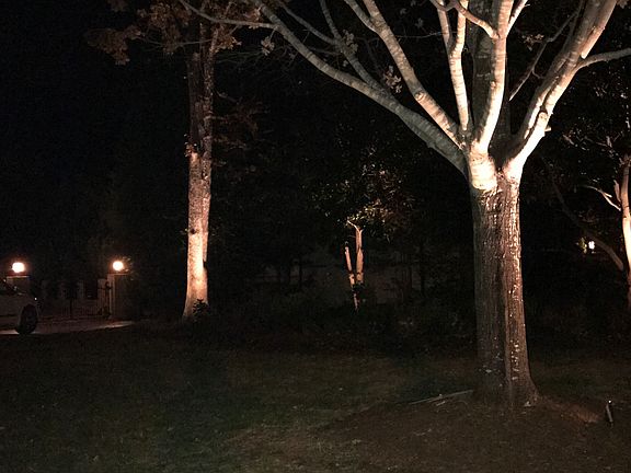 landscape uplighting