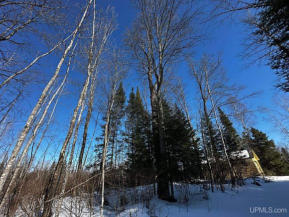 5th image of 8333 Solberg Lake Rd