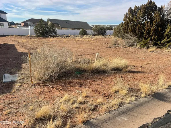 164 S Pioneer Trl, Snowflake, AZ 85937