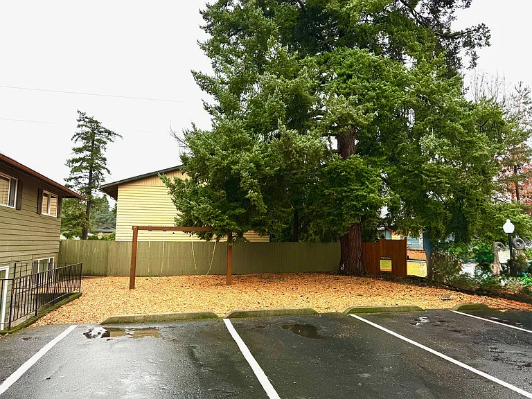 The Firs — Photo 6