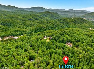 3 King Dr, Gatlinburg, TN 37738